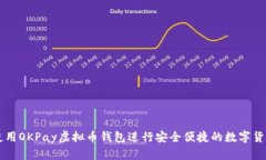 如何使用OKPay虚拟币钱包进