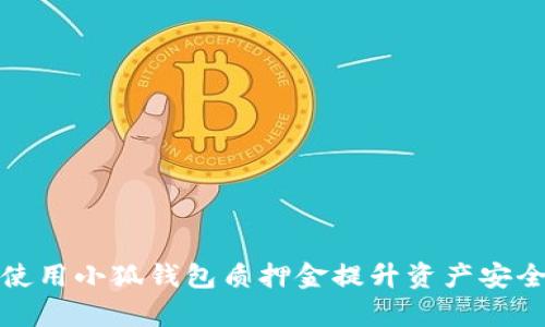 如何有效使用小狐钱包质押金提升资产安全性和收益