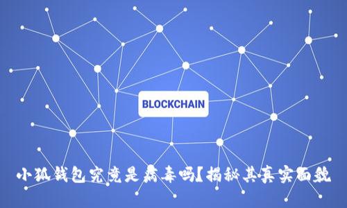 小狐钱包究竟是病毒吗？揭秘其真实面貌