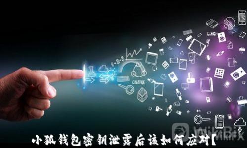 
小狐钱包密钥泄露后该如何应对？