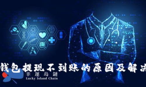 小狐钱包提现不到账的原因及解决方法