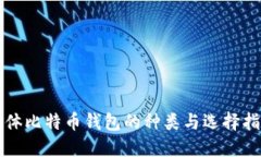 实体比特币钱包的种类与