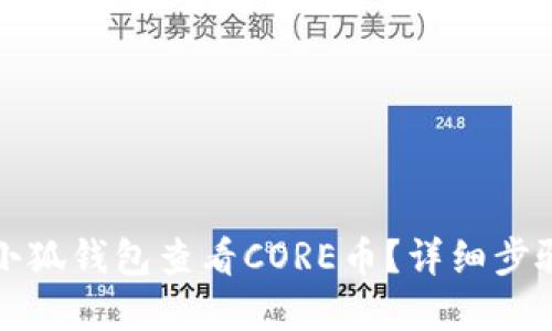 如何在小狐钱包查看CORE币？详细步骤与技巧