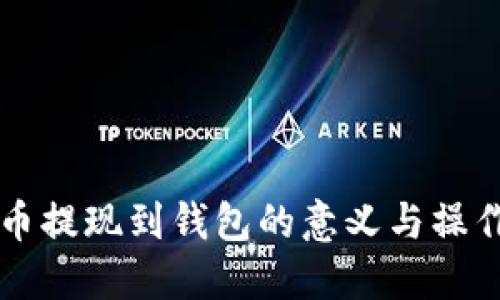 虚拟币提现到钱包的意义与操作指南