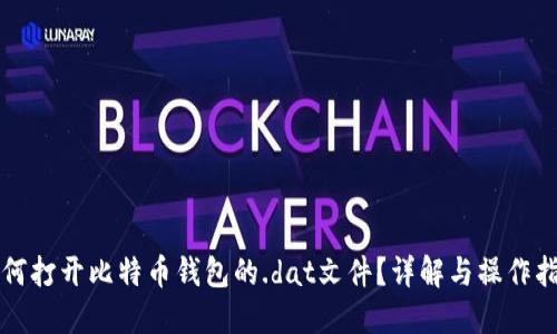 如何打开比特币钱包的.dat文件？详解与操作指南