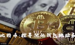 马斯克与比特币：探寻他