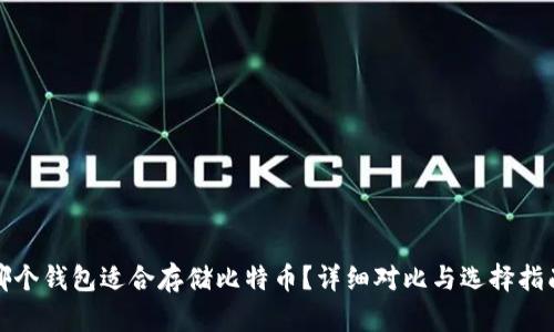 哪个钱包适合存储比特币？详细对比与选择指南
