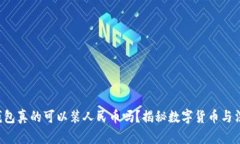  比特币钱包真的可以装人