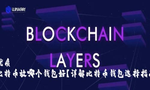优质  
比特币放哪个钱包好？详解比特币钱包选择指南