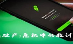 比特币钱包破产：危机中