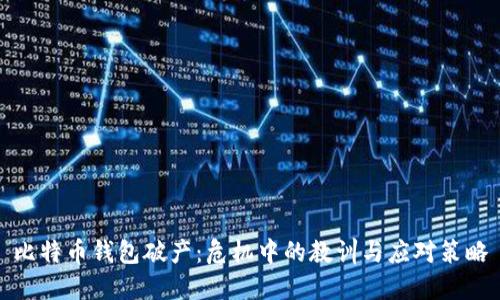 比特币钱包破产：危机中的教训与应对策略