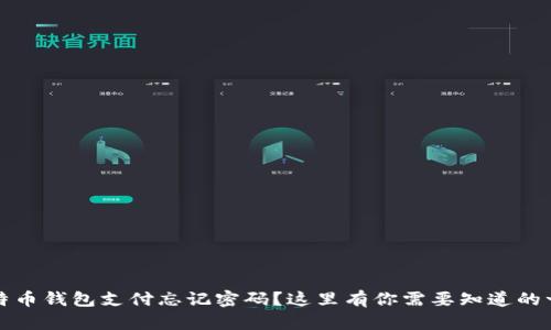 比特币钱包支付忘记密码？这里有你需要知道的一切