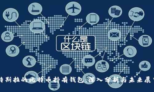 特斯拉的比特币持有钱包：深入分析与未来展望