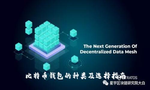 比特币钱包的种类及选择指南