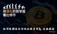 如何选择适合你的比特币