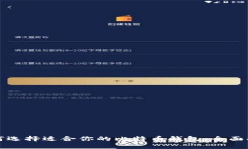 如何选择适合你的比特币钱包：全面指南