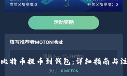如何将比特币提币到钱包：详细指南与注意事项
