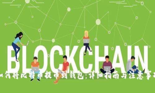 如何将比特币提币到钱包：详细指南与注意事项