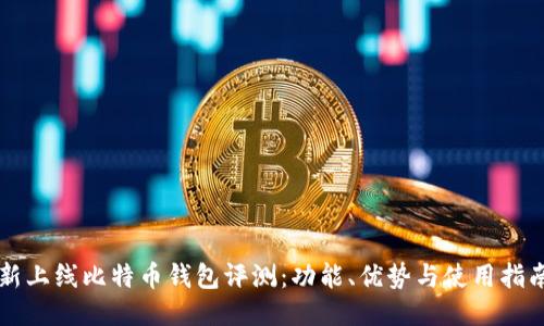 新上线比特币钱包评测：功能、优势与使用指南
