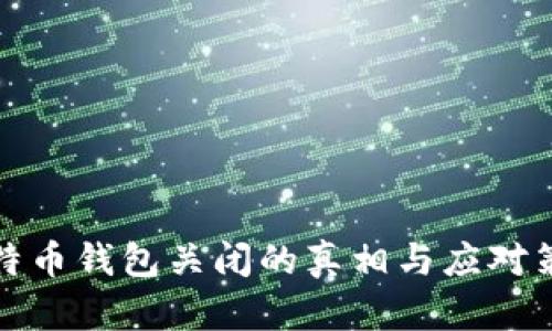 比特币钱包关闭的真相与应对策略