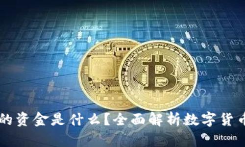 区块链钱包里的资金是什么？全面解析数字货币的原理与应用