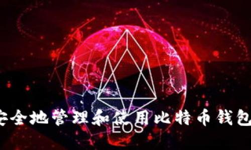 如何安全地管理和使用比特币钱包文件？