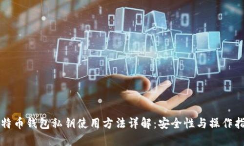比特币钱包私钥使用方法详解：安全性与操作指南