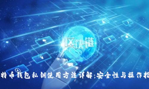 比特币钱包私钥使用方法详解：安全性与操作指南