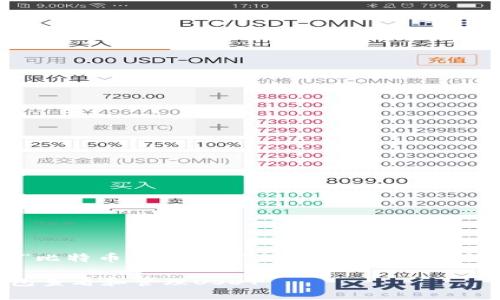 好的，我们将围绕“比特币钱包如何查看USDT”这个主题进行内容创作。

如何用比特币钱包查看和管理USDT