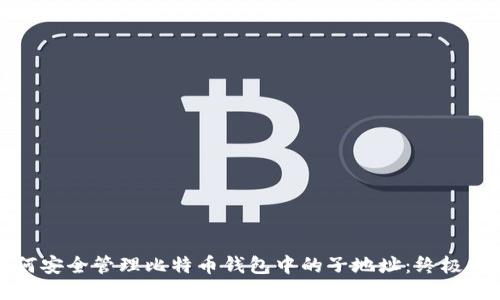 如何安全管理比特币钱包中的子地址：终极指南