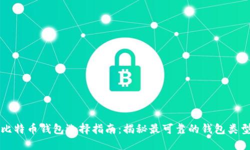 比特币钱包选择指南：揭秘最可靠的钱包类型
