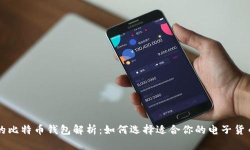 不同类型的比特币钱包解析：如何选择适合你的电子货币存储方式