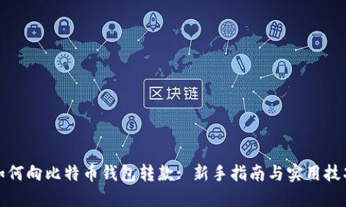 如何向比特币钱包转款: 新手指南与实用技巧