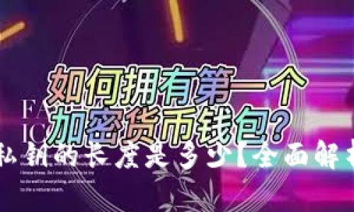 以太坊钱包私钥的长度是多少？全面解析与安全指南