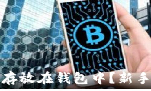  
虚拟币如何安全存放在钱包中？新手必看的完整指南