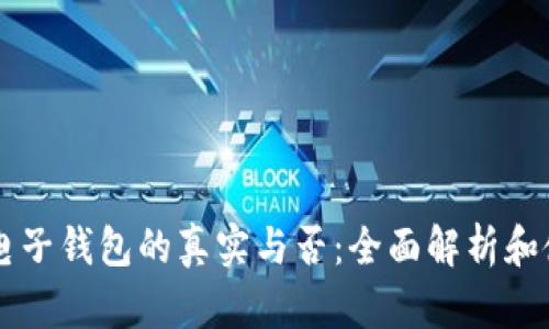 区块链电子钱包的真实与否：全面解析和使用指南