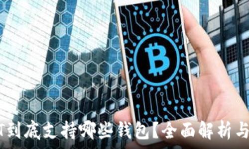   
USDT到底支持哪些钱包？全面解析与推荐