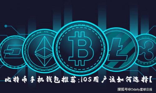 比特币手机钱包推荐：iOS用户该如何选择？