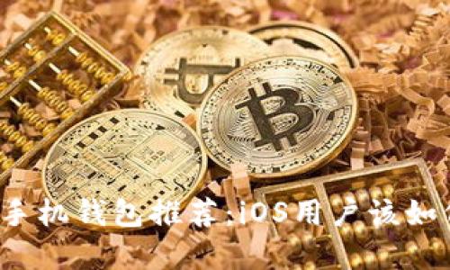 比特币手机钱包推荐：iOS用户该如何选择？