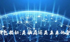 区块链钱包揭秘：是骗局