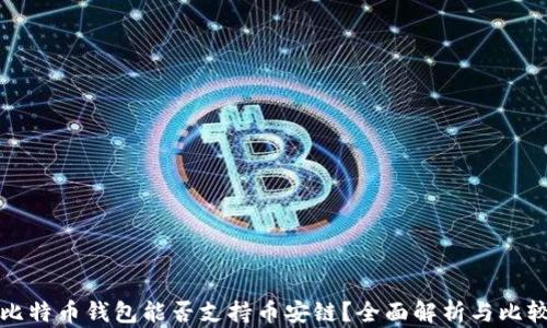 
比特币钱包能否支持币安链？全面解析与比较