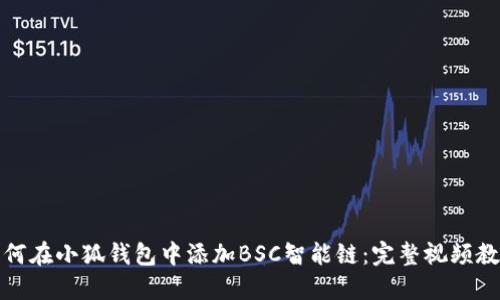 如何在小狐钱包中添加BSC智能链：完整视频教程