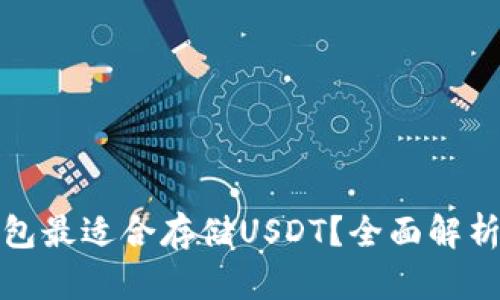 哪种钱包最适合存储USDT？全面解析与推荐