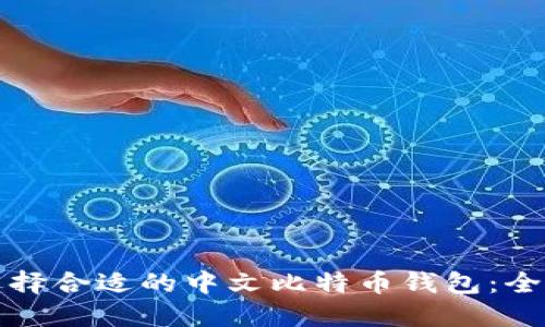 如何选择合适的中文比特币钱包：全面指南