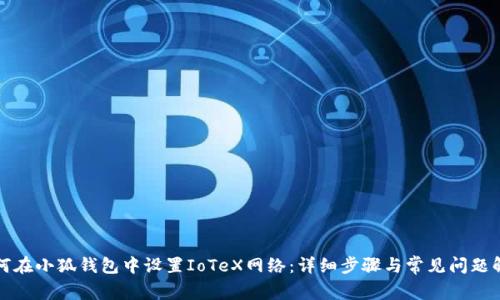 如何在小狐钱包中设置IoTeX网络：详细步骤与常见问题解析