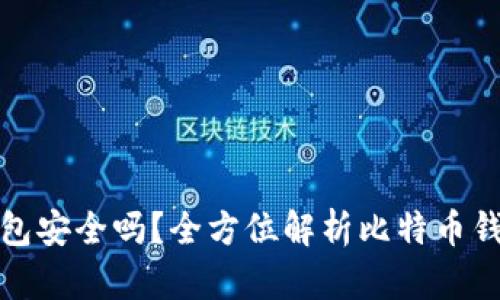 存比特币钱包安全吗？全方位解析比特币钱包的安全性