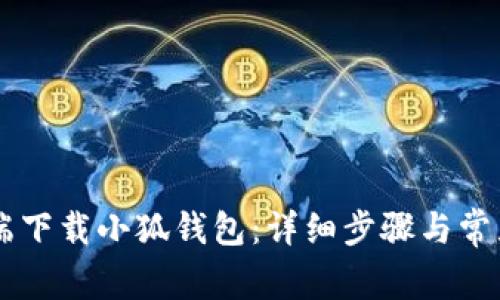 如何在PC端下载小狐钱包：详细步骤与常见问题解析