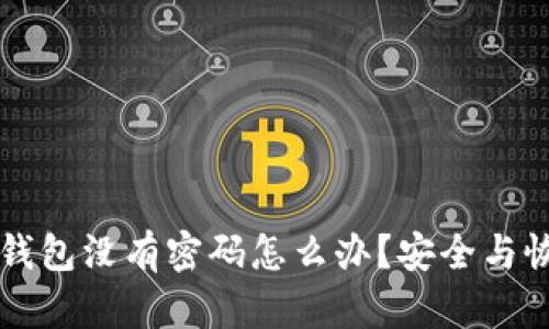 比特币钱包没有密码怎么办？安全与恢复指南