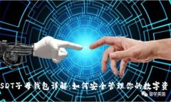 USDT子母钱包详解：如何安
