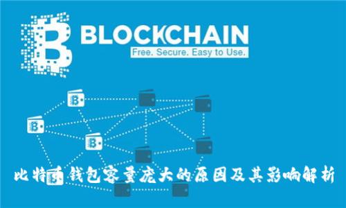 比特币钱包容量庞大的原因及其影响解析